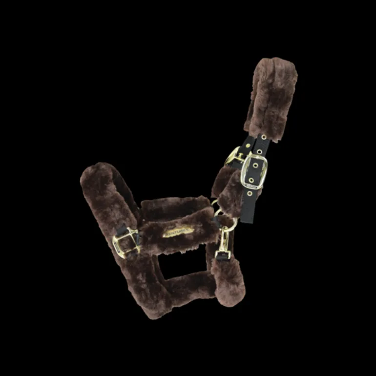 Licol cheval doublé mouton synthétique - Kentucky