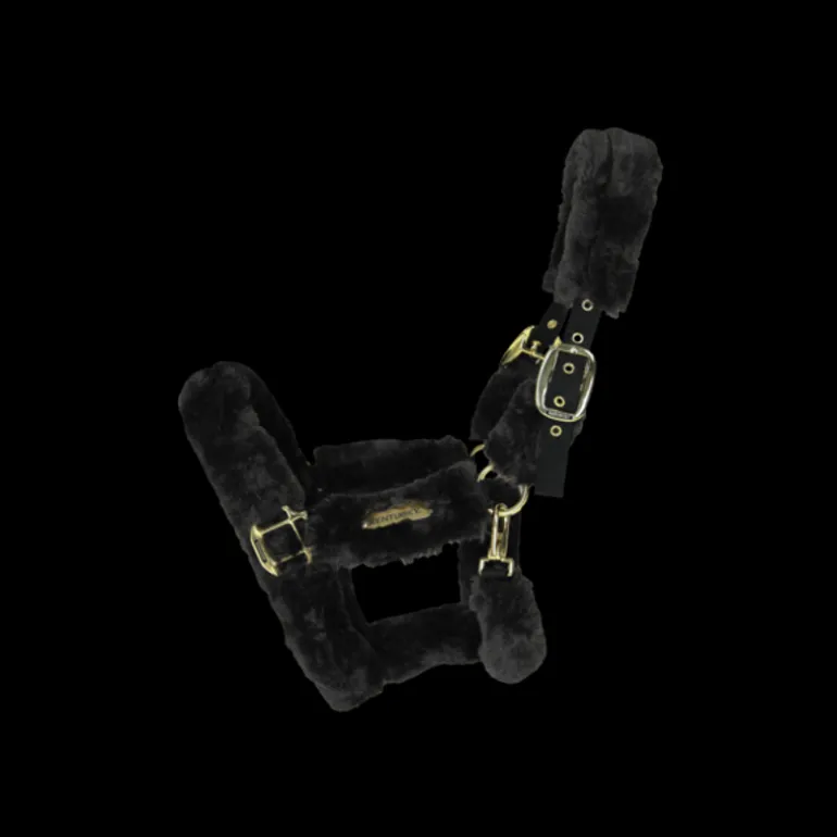 Licol cheval doublé mouton synthétique - Kentucky