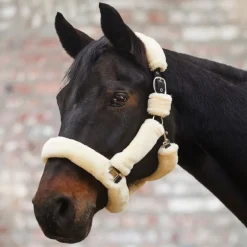 Licol cheval en mouton synthétique complet Cosy - Waldhausen