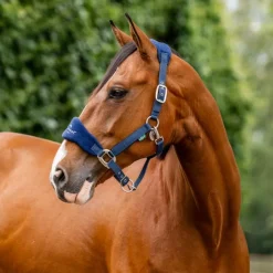 Licol cheval Grooming Signature - Horseware