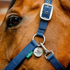 Licol cheval Grooming Signature - Horseware