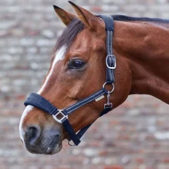 Licol cheval nylon matelassé Alcantara - Waldhausen