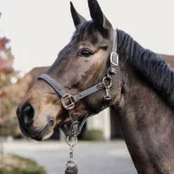 Licol cheval simili-cuir nylon tressé - Kentucky