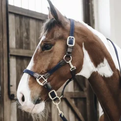 Licol cheval simili-cuir nylon tressé - Kentucky