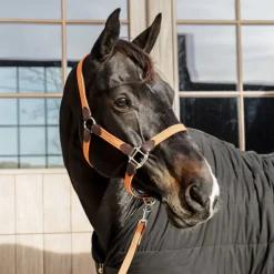 Licol cheval simili-cuir nylon tressé - Kentucky