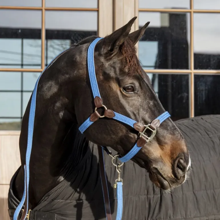 Licol cheval simili-cuir nylon tressé - Kentucky