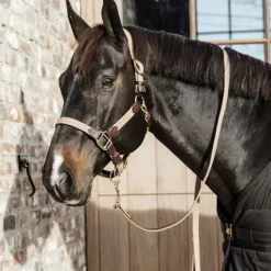 Licol cheval simili-cuir nylon tressé - Kentucky