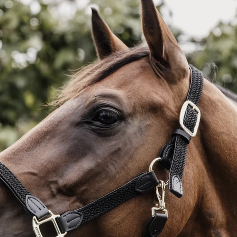 Licol cheval simili-cuir nylon tressé - Kentucky