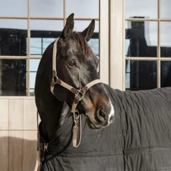 Licol cheval simili-cuir nylon tressé - Kentucky