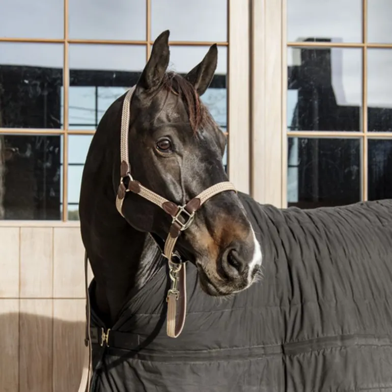 Licol cheval simili-cuir nylon tressé - Kentucky