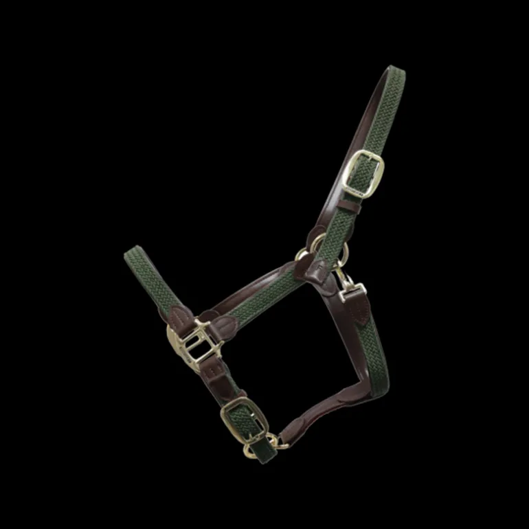 Licol cheval simili-cuir nylon tressé - Kentucky