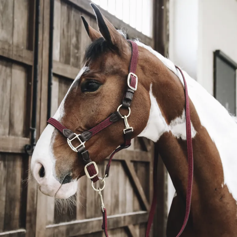 Licol cheval simili-cuir nylon tressé - Kentucky