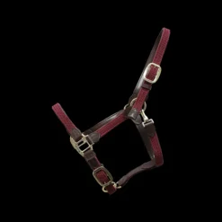 Licol cheval simili-cuir nylon tressé - Kentucky