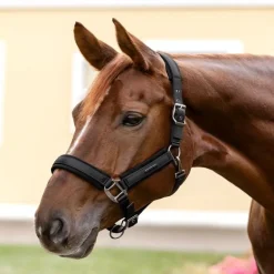 Licol cheval Soft Touch - Waldhausen