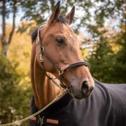 Licol cuir cheval 3 mousquetons - Paddock Sports