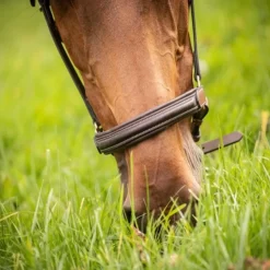 Licol cuir cheval 3 mousquetons - Paddock Sports