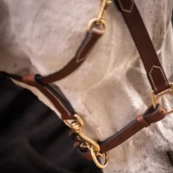 Licol cuir cheval 3 mousquetons - Paddock Sports