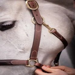 Licol cuir cheval 3 mousquetons - Paddock Sports