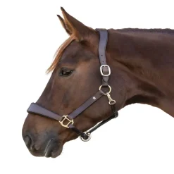 Licol cuir cheval anatomique X-Line - Waldhausen