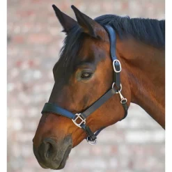 Licol cuir cheval anatomique X-Line - Waldhausen