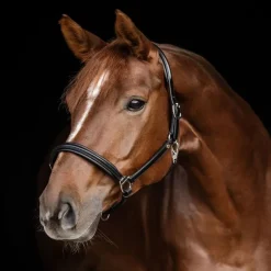 Licol cuir cheval Classy S-Line - Waldhausen