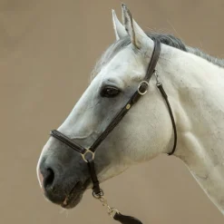 Licol cuir cheval de pansage Working Collection - Dy'on