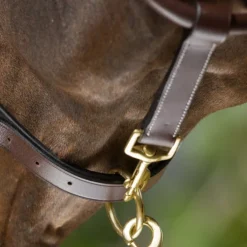 Licol cuir cheval transport/grooming - HFI