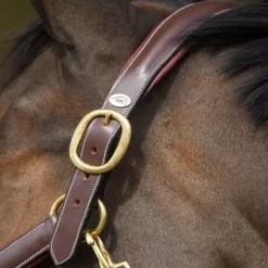 Licol cuir cheval transport/grooming - HFI