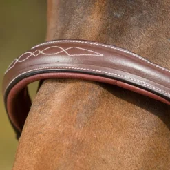 Licol cuir cheval transport/grooming - HFI