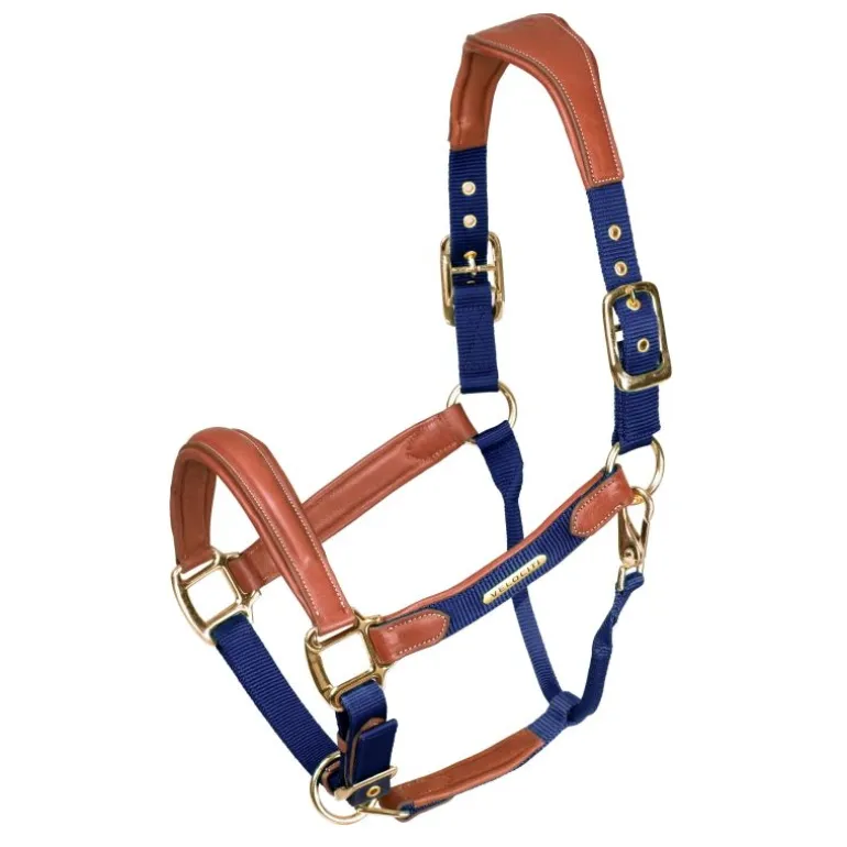 Licol cuir et nylon cheval Velociti Lusso - Shires