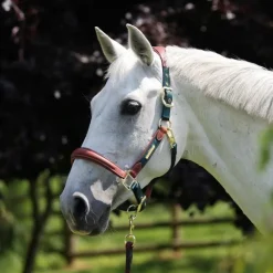 Licol cuir et nylon cheval Velociti Lusso - Shires