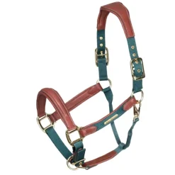 Licol cuir et nylon cheval Velociti Lusso - Shires