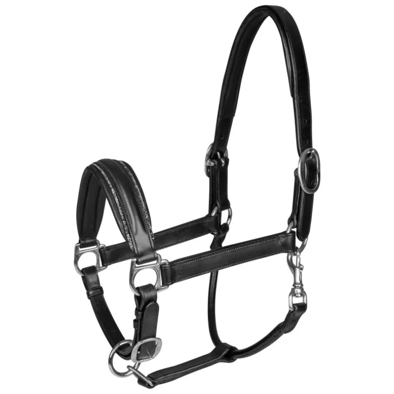 Licol cuir et strass cheval Glamour S-Line - Waldhausen