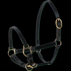 Licol cuir poulain Star - Waldhausen