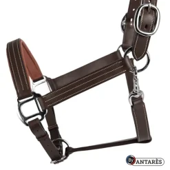 Licol cuir Signature - Antarès