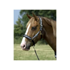 Licol de luxe doublé cheval Comfort Zebra - Bucas