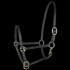 Licol de présentation poulain cuir - Waldhausen