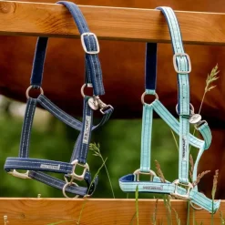 Licol de sécurité cheval Fieldsafe - Horseware