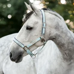 Licol de sécurité cheval Fieldsafe - Horseware