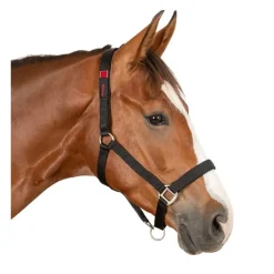 Licol de sécurité cheval Safety - Waldhausen