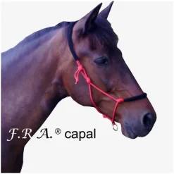 Licol de travail éthologique cheval rembourré Capal - F.r.a