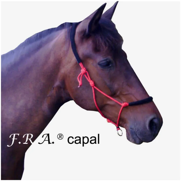Licol de travail éthologique cheval rembourré Capal - F.r.a