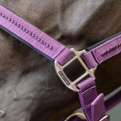 Licol et Longe cheval Amour - Harcour