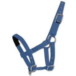 Licol matelassé mini-shetland ou poulain - Waldhausen