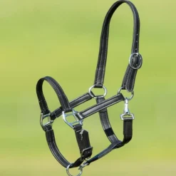 Licol poulain cuir souple - HFI