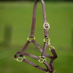 Licol poulain cuir souple - HFI