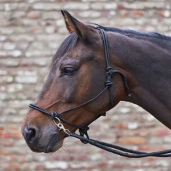 Licol éthologique cheval avec rênes - Waldhausen