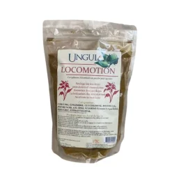 Locomotion cheval - Ungula Naturalis