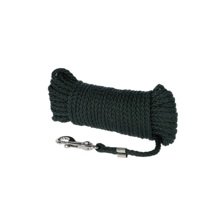 Longe de recherche chien nylon 10 m