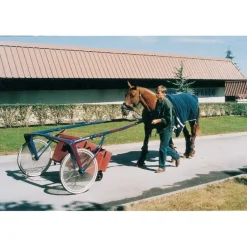 Malle roulante pour trotteurs - La Gée